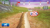 Equestrian Training Switch New