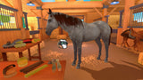 Equestrian Training Switch New
