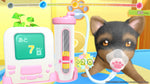 Pups & Purs Animal Hospital Switch Used