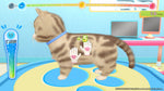 Pups & Purs Animal Hospital Switch Used