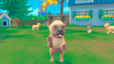 My Universe Puppies And Kittens PS4 Used