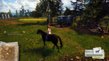 Windstorm Start Of A Great Freindship PS4 New