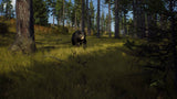 Way Of The Hunter PS5 Used