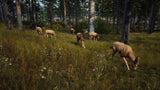 Way Of The Hunter PS5 Used