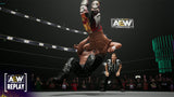 AEW Fight Forever PS4 Used
