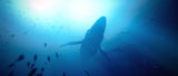 Under The Waves PS4 Used