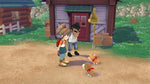 Story Of Seasons A Wonderful Life Switch Used