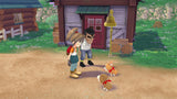 Story Of Seasons A Wonderful Life Switch Used