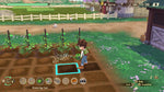 Story Of Seasons A Wonderful Life Switch Used