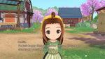 Story Of Seasons A Wonderful Life Switch Used