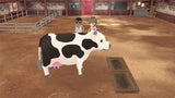 Story Of Seasons A Wonderful Life Switch Used