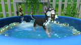 Little Friends Puppy Island Switch New