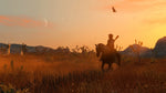 Red Dead Redemption Remastered PS4 Used