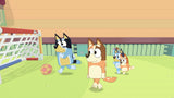 Bluey The Videogame Switch Used
