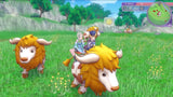 Rune Factory 5 Switch Used