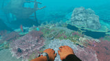 Stranded Deep Switch Used