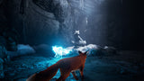 Spirit Of The North PS4 Used