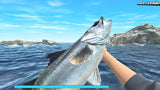 Reel Fishing Road Trip Adv Switch Used