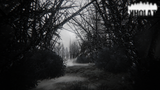 Kholat Import PS4 Used