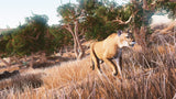 Hunting Simulator PS4 New