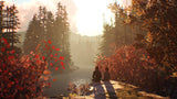 Life Is Strange 2 Xbox One Used