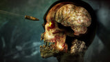 Zombie Army 4 Dead War Switch Used