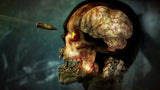 Zombie Army 4 Dead War Switch New